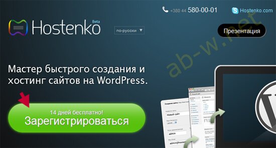 Wordpress �����������