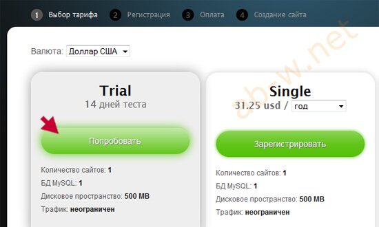 konstruktory wordpress