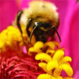 ������ � ���������� �����