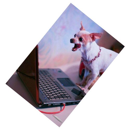 ������ �� �����